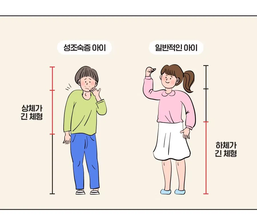 상체와 하체 비율 비교 이미지