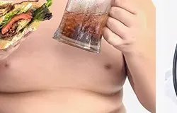 성인비만 위험