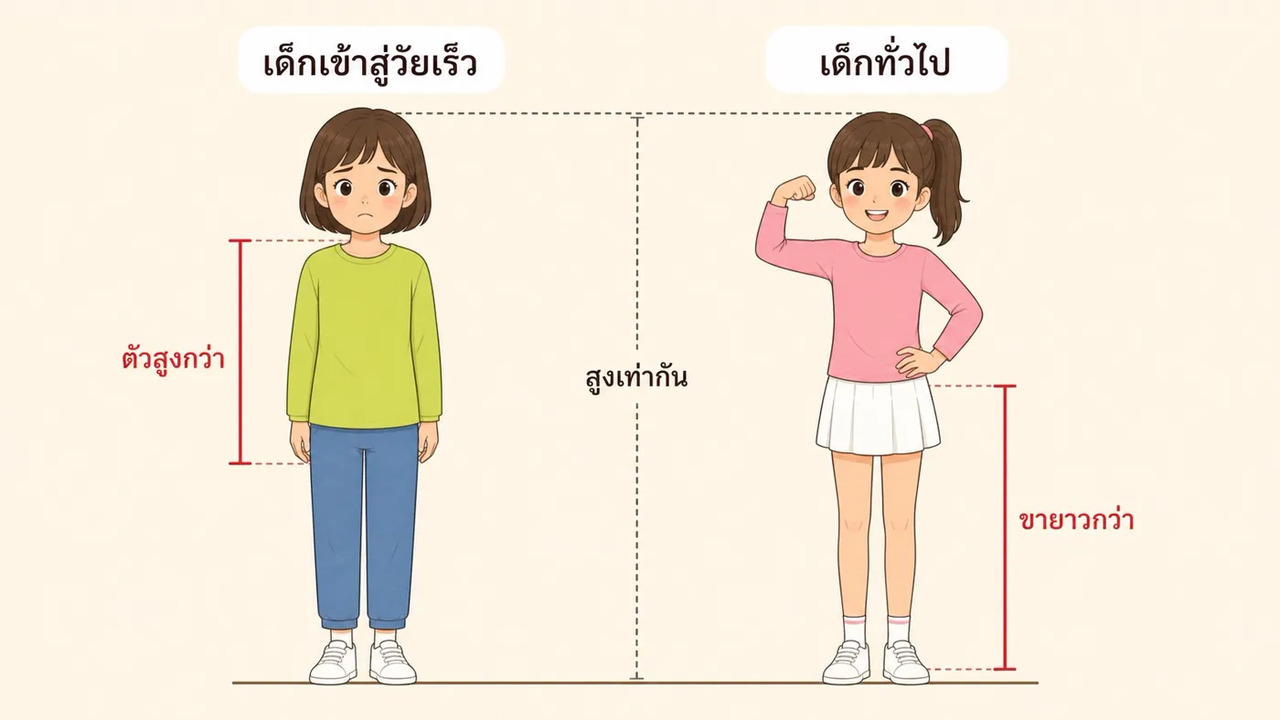 การเปรียบเทียบสัดส่วนช่วงบนและช่วงล่าง